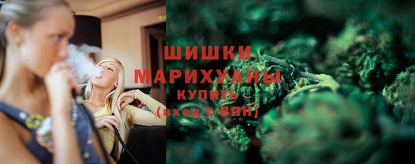 гидра Михайловка