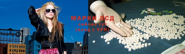 мяу мяу мука Михайловск