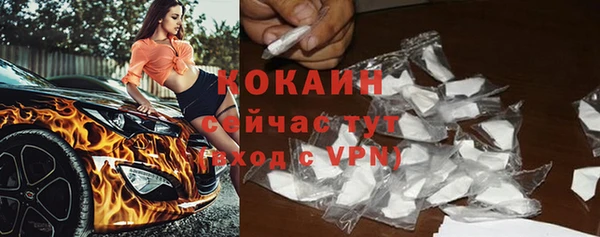 гидра Михайловка