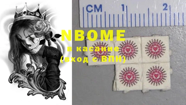 гидра Михайловка