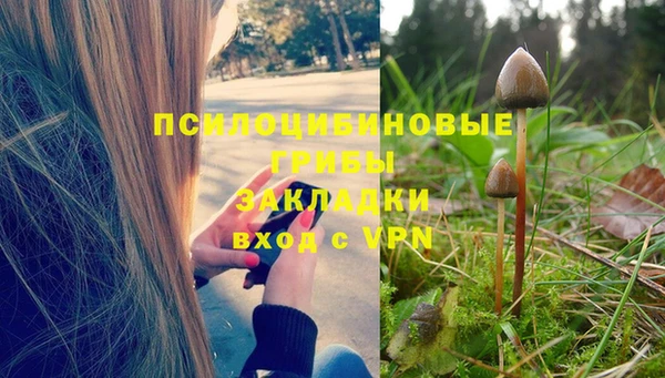 mdpv Михайлов
