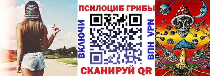 Псилоцибиновые грибы Cubensis  Мосальск 